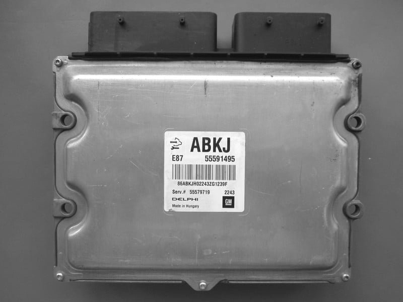 55584317 archivo ECU original Opel Delco