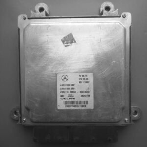 6519005301 archivo ECU original Mercedes Delphi