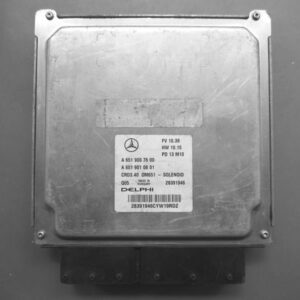 6519007600 archivo ECU original Mercedes Delphi