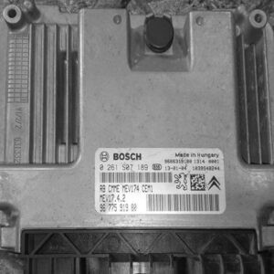 9666319180 archivo ECU original Peugeot Bosch